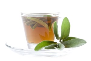 shutterstock_214817014