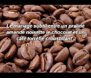 Elaborée et fabriquée en haute Corse à folelli elle résulte du mariage d’un praliné et d’ un café noir torréfié croustillant. Une douce pâte à tartiner qui révèle des la première cuillère un goût de noisette en fin de bouche, et le café qui relève le tout. Sans compter le croquant très originale du café.