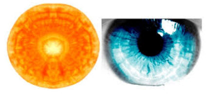 astuces de grand mere carottes-yeux