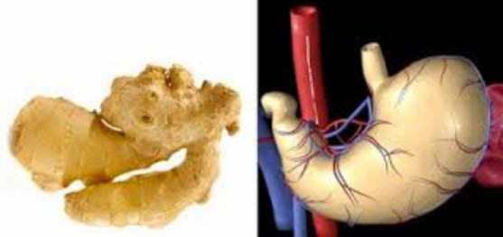 astuces de grand mere gingembre