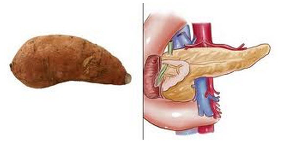 astuces de grand mere patate-douce
