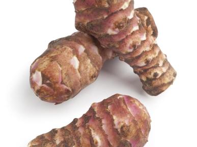 cultiver-topinambour-full-8263553