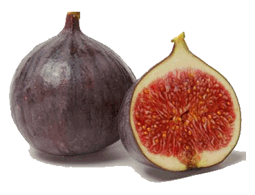 vegetal-figues.gif