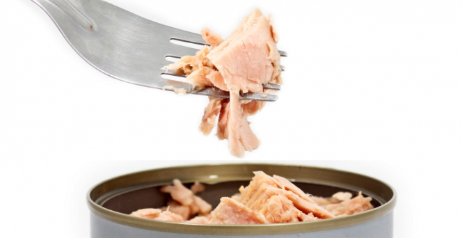 fourchette_thon-illus