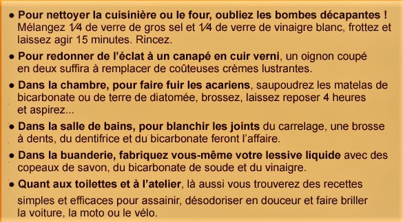 recette grand mere bio ecolo menage