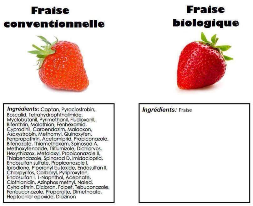 wp-1461662944775 image