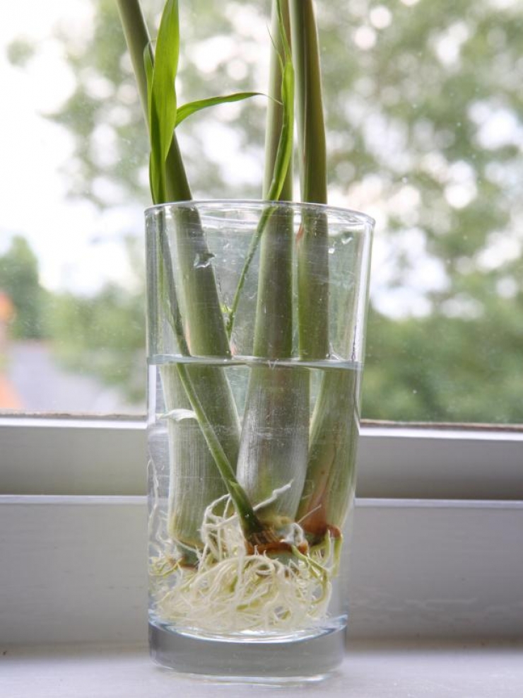 740_espacebuzz54df1b60ea6ee