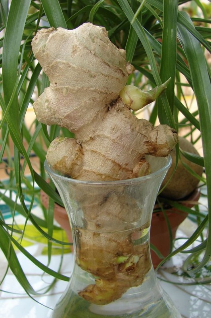 740_espacebuzz54df1b62ef82a