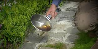 Si vous voulez vous épargner la corvée d_arrachage des herbes que vous jugez disgracieuses dans vos allées ou entre vos dalles, répandez dessus l_eau de cuisson bouillante de vos