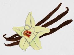 huile essentielle d’amande amère.jpg