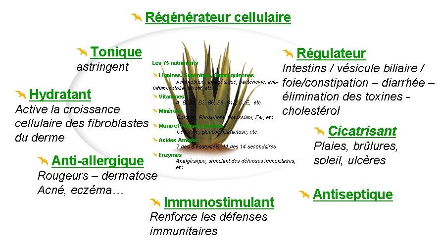 Jt3YgdDthyGa1bxGX78cjxaiKOY
