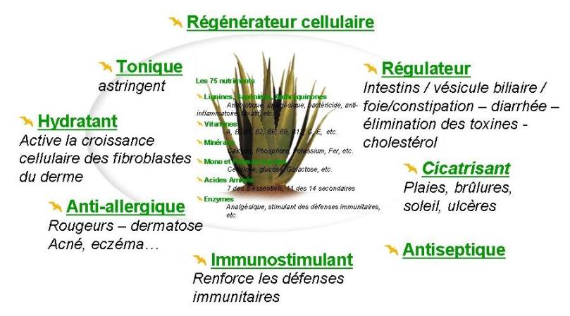 Jt3YgdDthyGa1bxGX78cjxaiKOY
